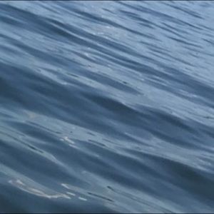 Meet your Posher, Mason